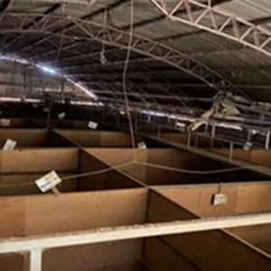 Tulha de Madeira com Cantoneira Desmontada