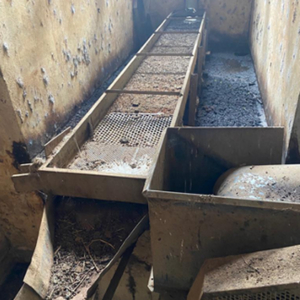 Máquina de Pré-Limpeza de Café Cru