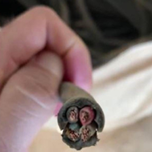 Cabo Elétrico Multipolar 4 em 1