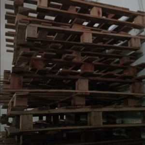 Pallets de Madeira